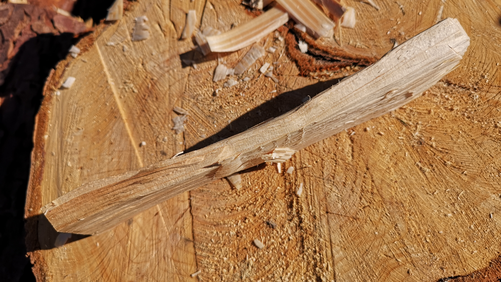 Detalle de un bloque de madera para tallar