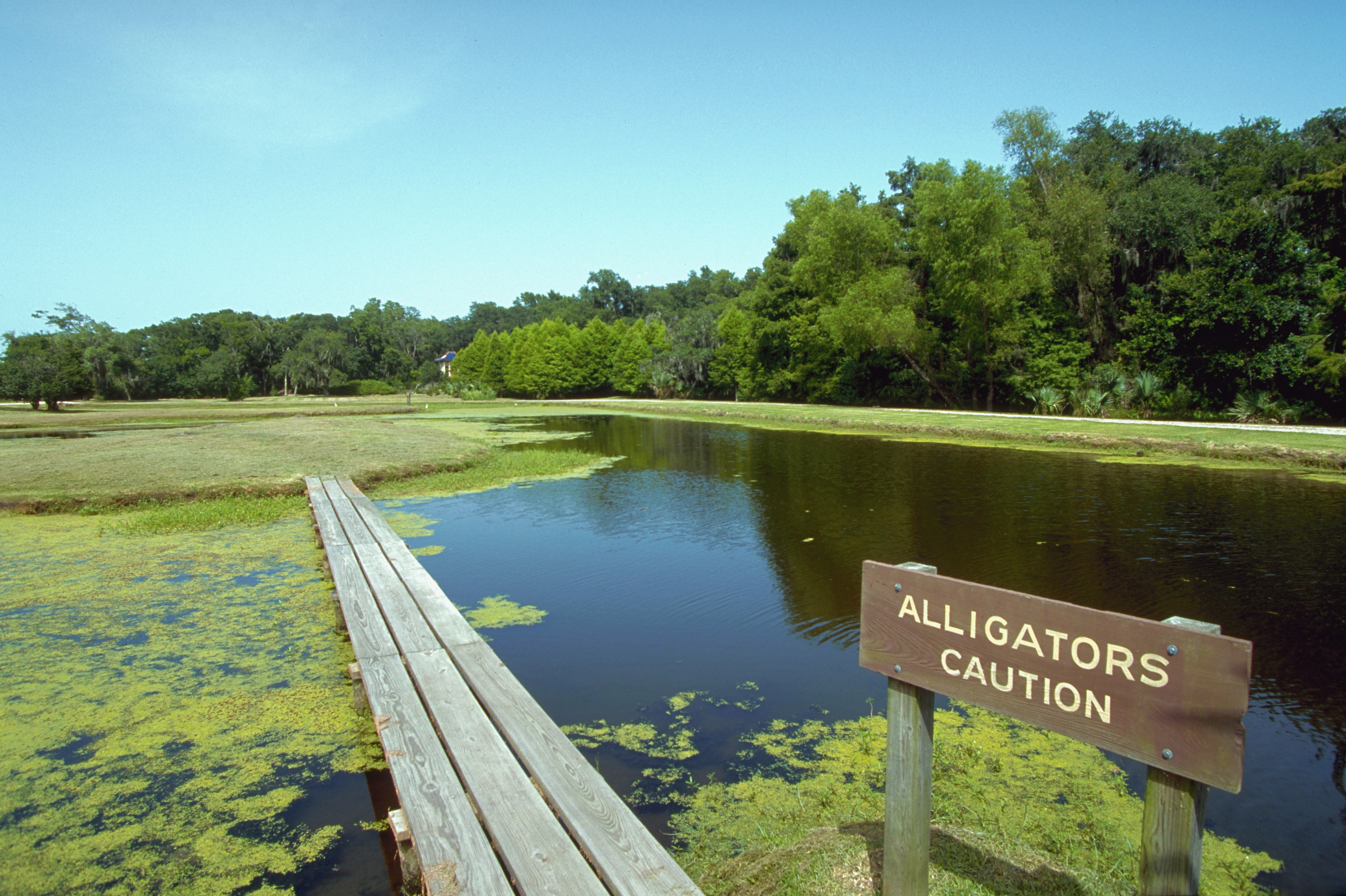 Señal de advertencia de cocodrilo en un pantano en Florida