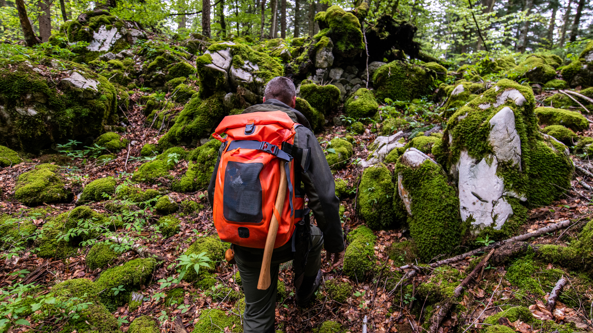 Un excursionista en el bosque con un hacha atada a su mochila.