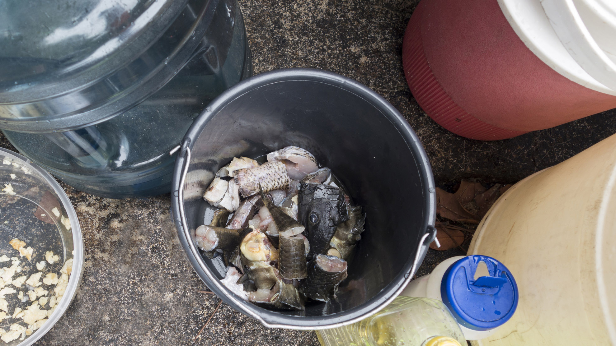 ideas de baldes para acampar: pescado picado en un balde