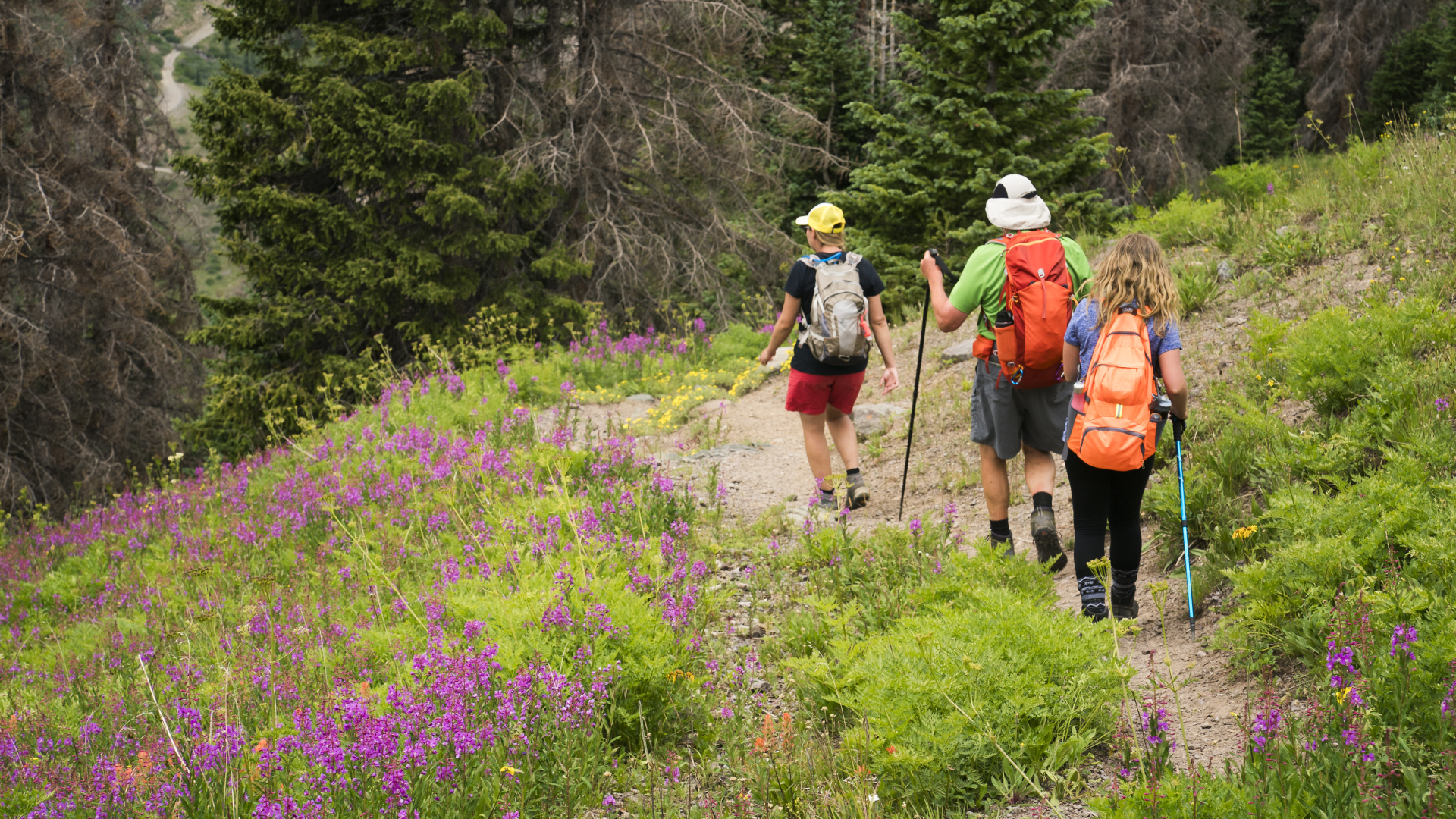 Tres personas caminan por un sendero rodeado de flores silvestres en Colorado