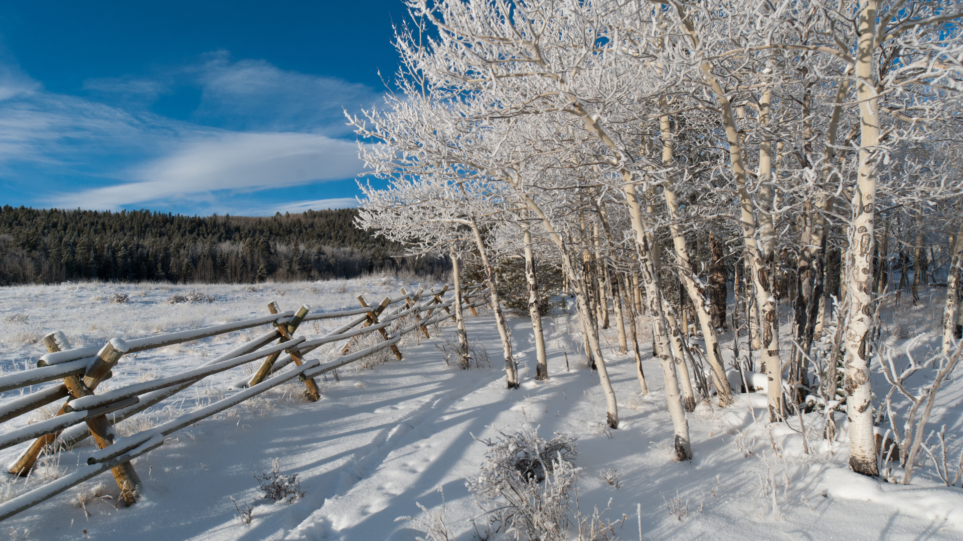 Principios de invierno en Kenosha Pass