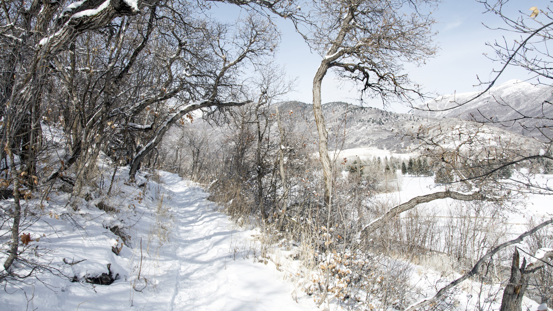 Un sendero con raquetas de nieve cerca de Park City Utah