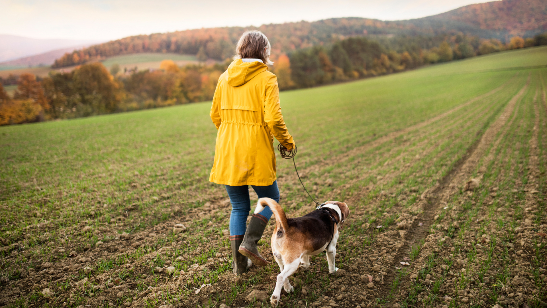 Una mujer con un mac amarillo paseando a su perro