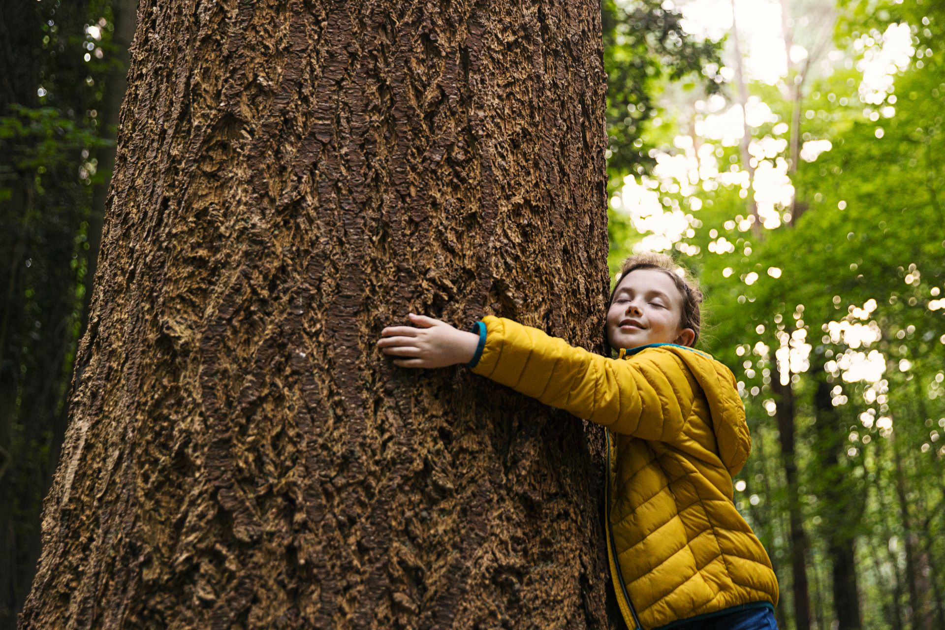 Chica joven que abraza un tronco de árbol grande