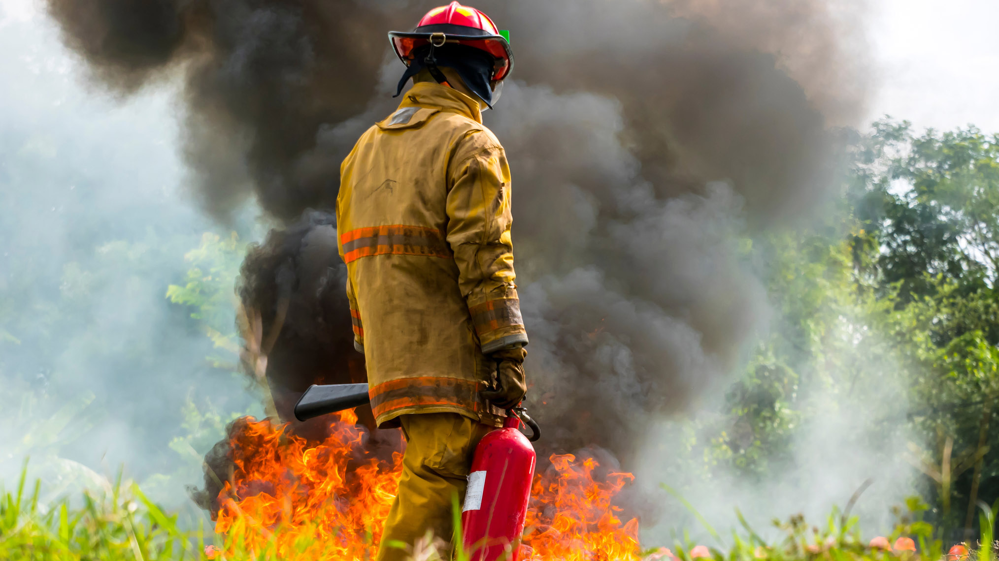 seguridad contra incendios forestales: bombero y un incendio forestal