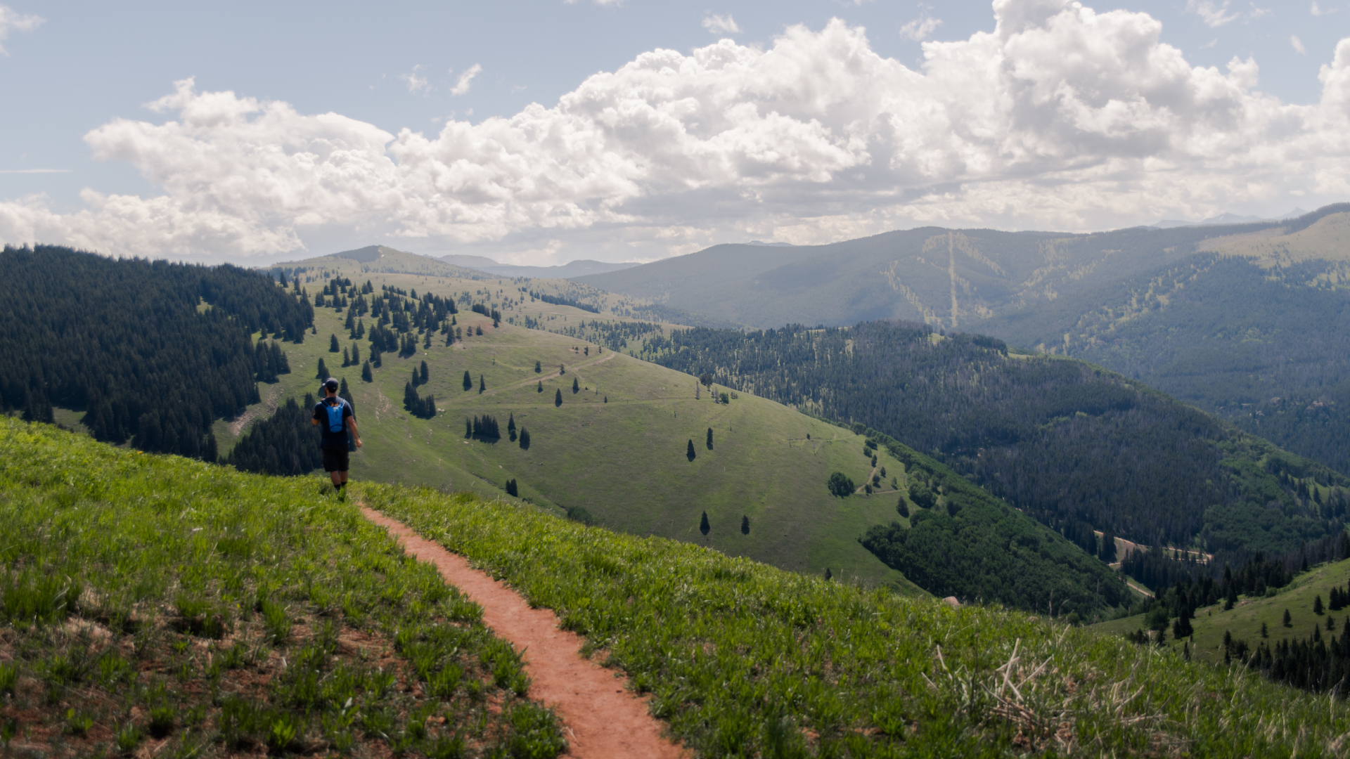 Un excursionista en Berry Picker Trail en Vail Mountain Colorado