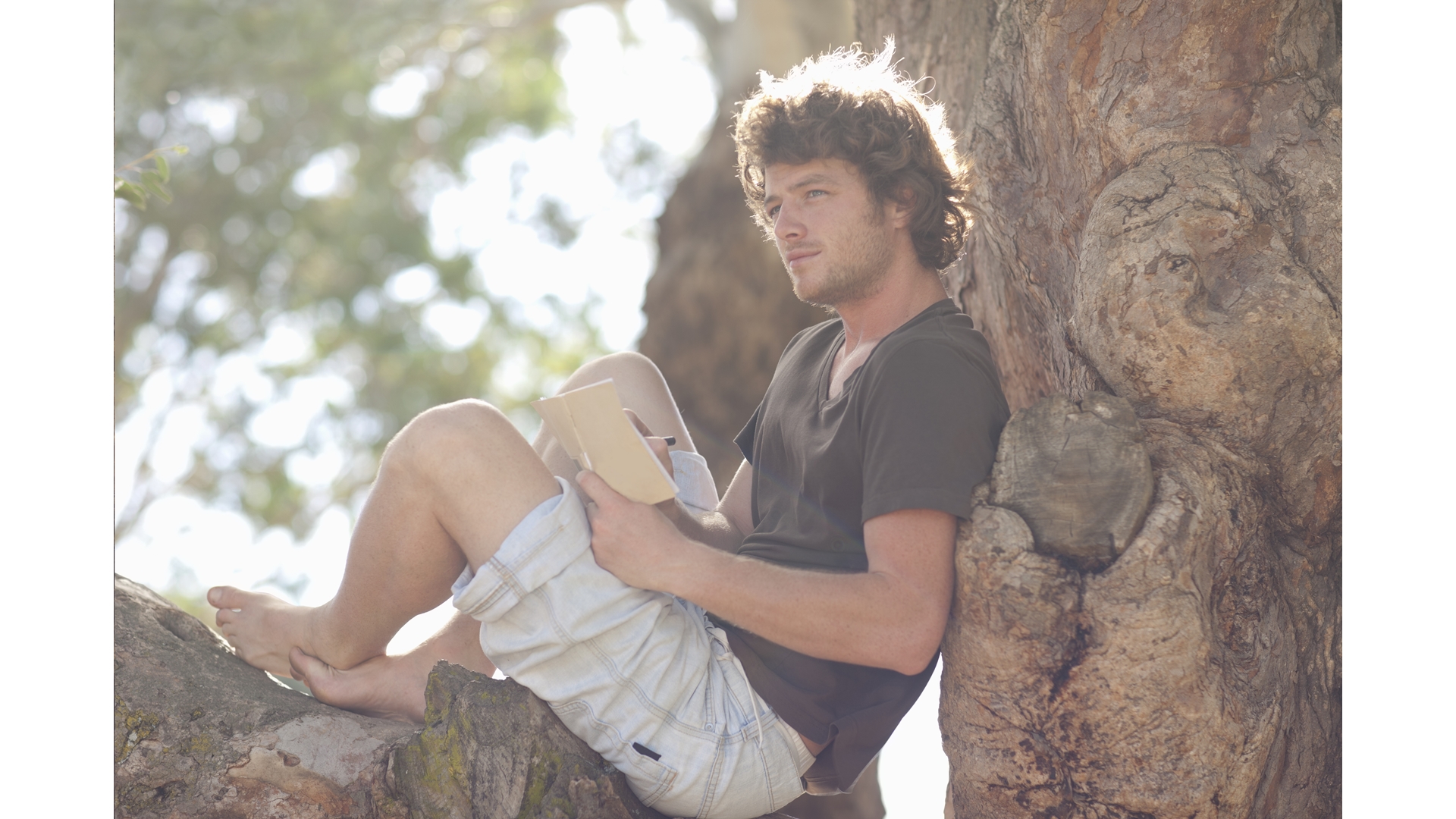 Un hombre sentado en un diario de la naturaleza del árbol.