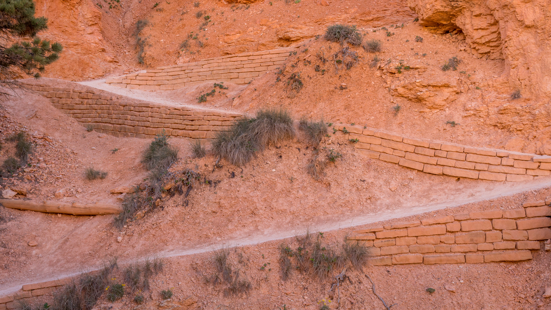Curvas en un sendero en el Parque Nacional Bryce Canyon