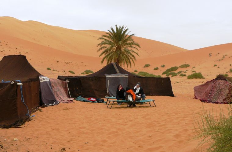 Campamento en el desierto: una guía para un campamento exitoso en climas áridos