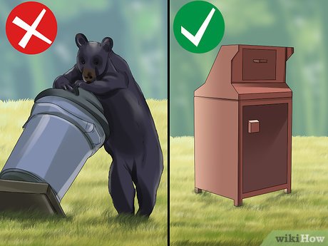 Cómo usar un recipiente para osos: mantén tu comida a salvo de osos y bichos en el campamento