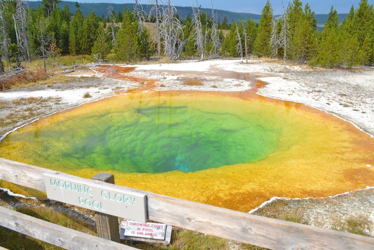 Las mejores caminatas en el Parque Nacional de Yellowstone: cascadas, vida salvaje y géiseres en abundancia€
€