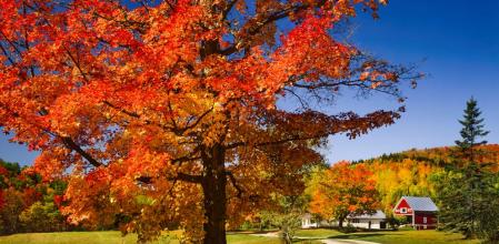 Las mejores excursiones de un día en Vermont para ver los colores del otoño