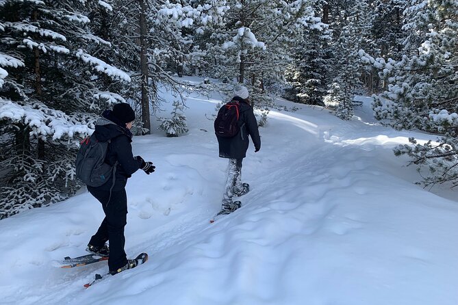 Raquetas de nieve en Colorado: aventura de bajo impacto y alta recompensa€
€