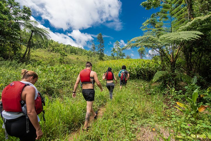 Senderismo en la selva: prepárate para la aventura de tu vida