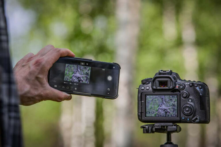 Smartphones vs cámaras: ¿cuál es mejor para fotos al aire libre?